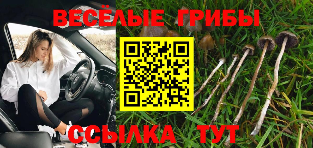 Семёнов  Галлюциногенные грибы Magic Shrooms  Вход с VPN 